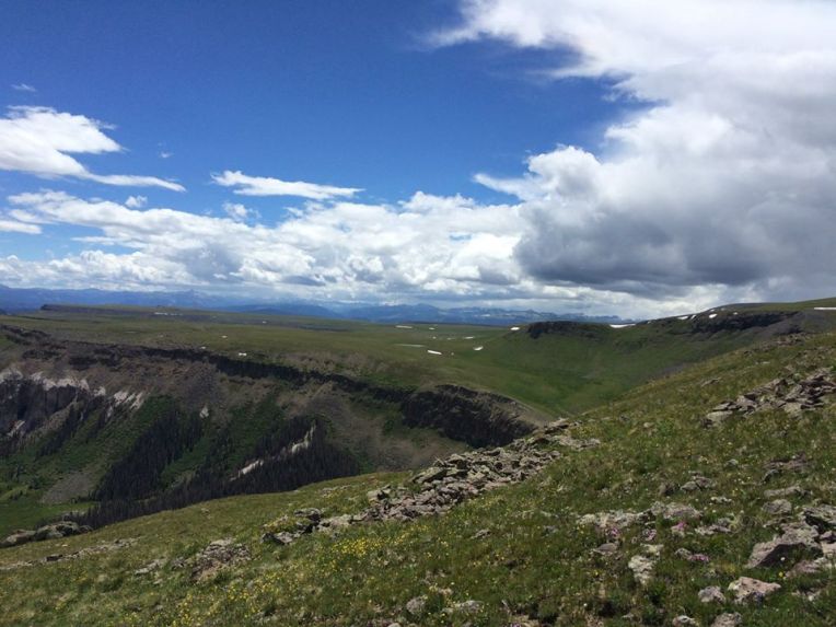 11230110_10205862009442722_157821824563086628_n