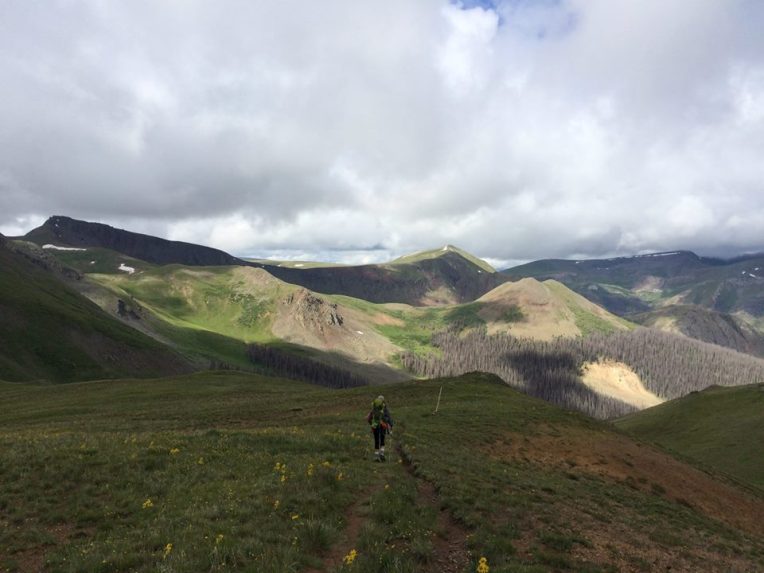 11253594_10205862008922709_910312027318997576_n