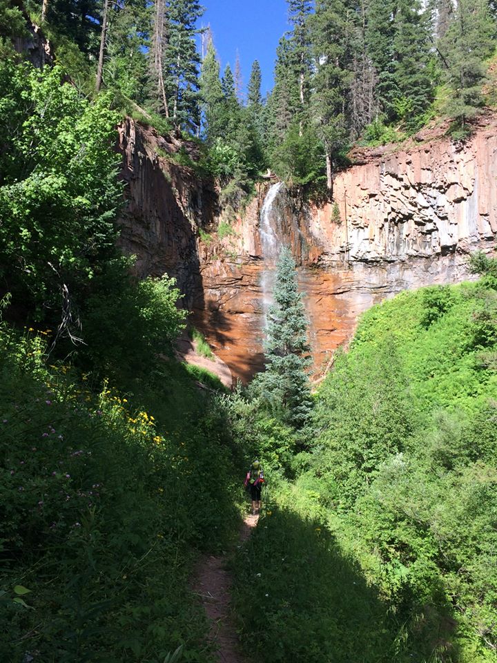 11824928_10205862027203166_6023988255896086845_n