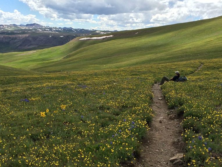 11825208_10205862012442797_6756013275337003977_n