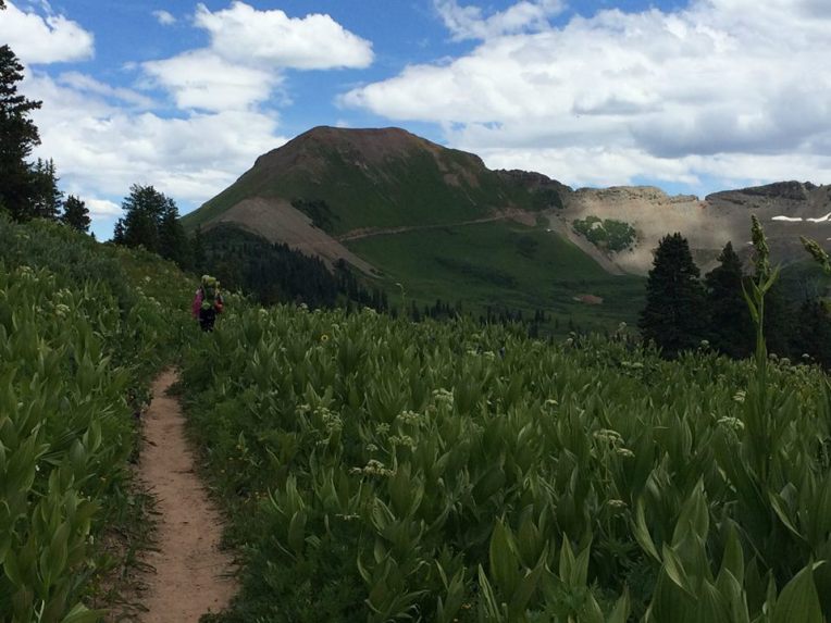 11836659_10205862025163115_4735727941128515927_n